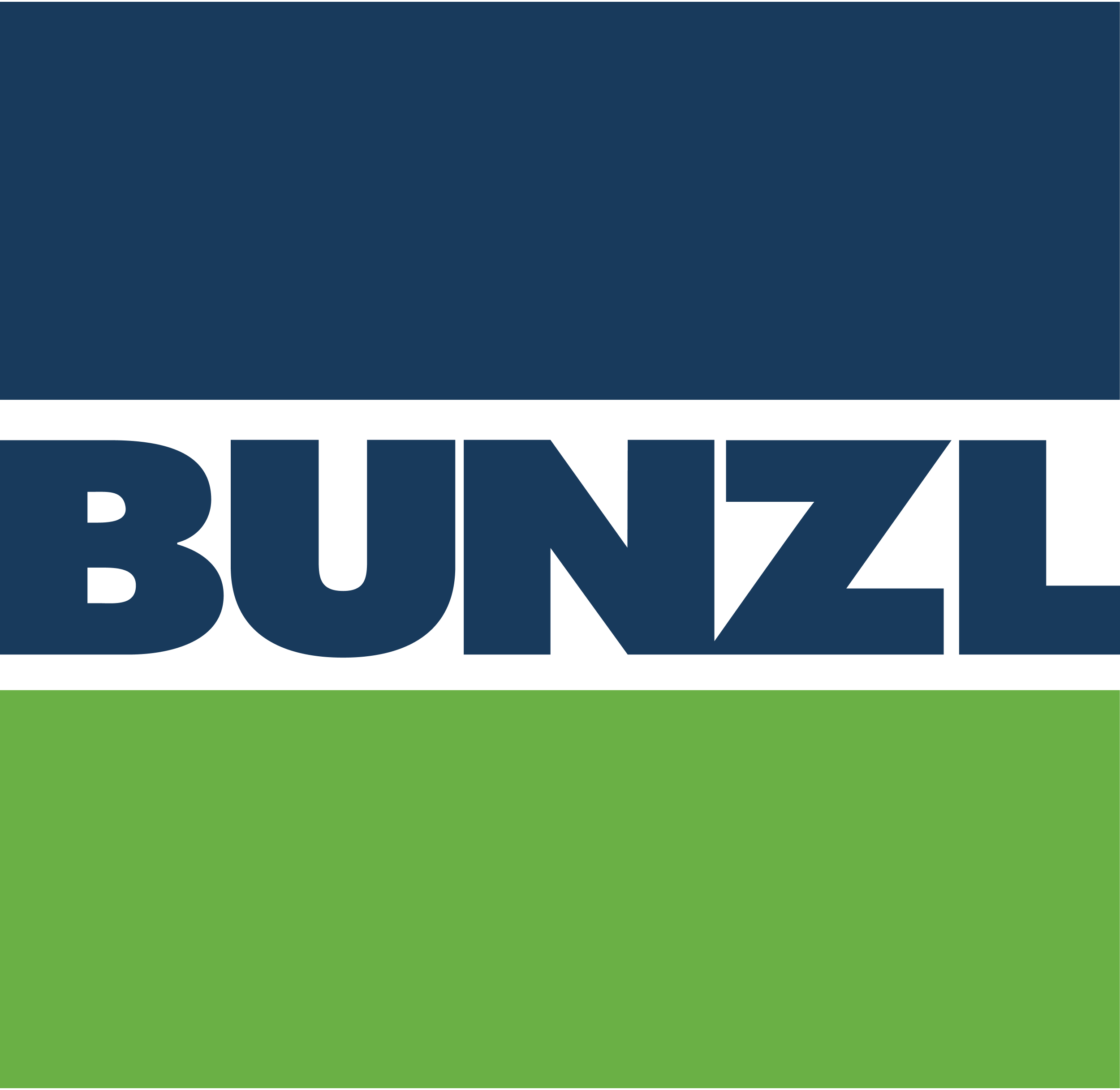 bunzl-logo 1